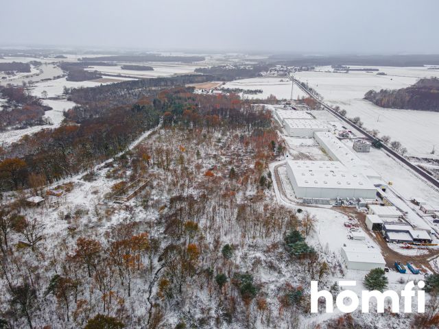 INVESTMENT PLOT IN POGALEWO WIELKIE (COMMUNE OF BRZEG DOLNY) | 9.43 HA - Ділянка - Продаж - Wołowski, Brzeg Dolny / Pogalewo Wielkie