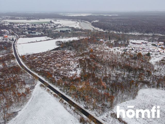 INVESTMENT PLOT IN POGALEWO WIELKIE (COMMUNE OF BRZEG DOLNY) | 9.43 HA - Ділянка - Продаж - Wołowski, Brzeg Dolny / Pogalewo Wielkie