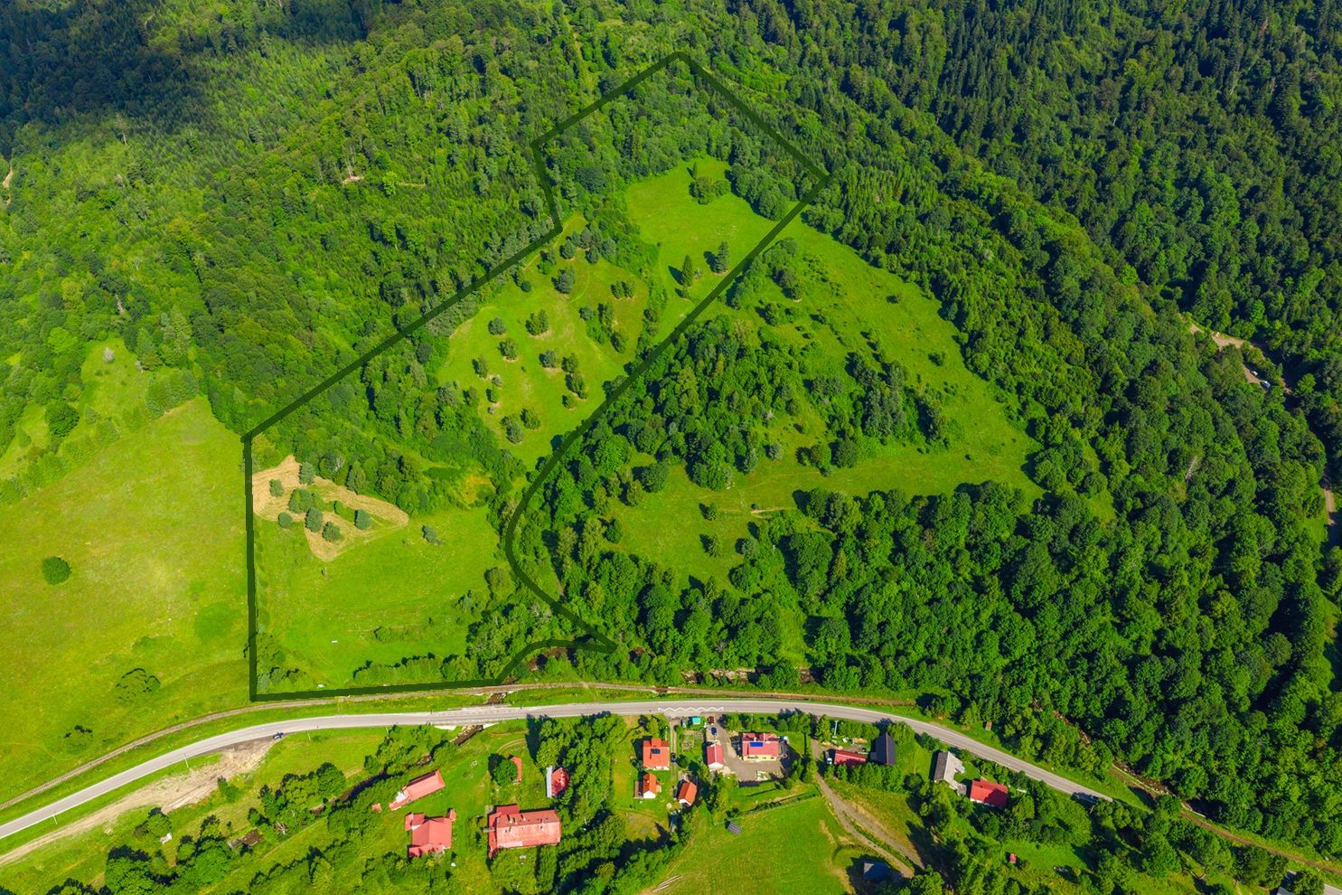 7ha działka na sprzedaż - Działka - Sprzedaż - Leski, Cisna / Żubracze