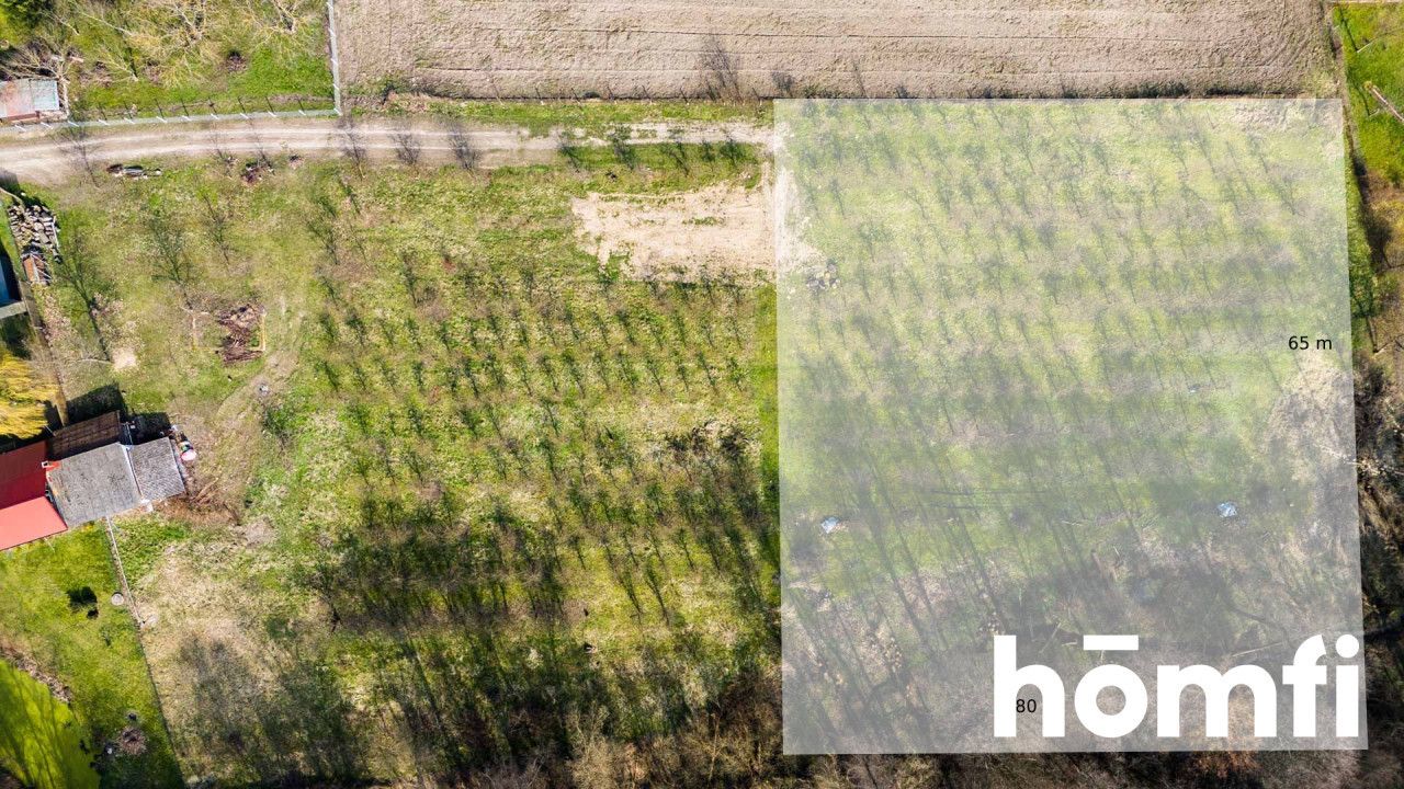 An idyllic plot near Białobrzegi - Plot - Sale - Białobrzeski, Promna / Biejków