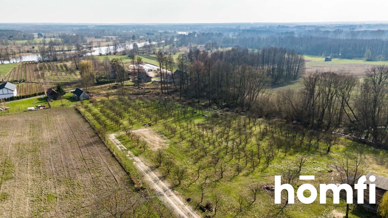 An idyllic plot near Białobrzegi - Plot - Sale - Białobrzeski, Promna / Biejków