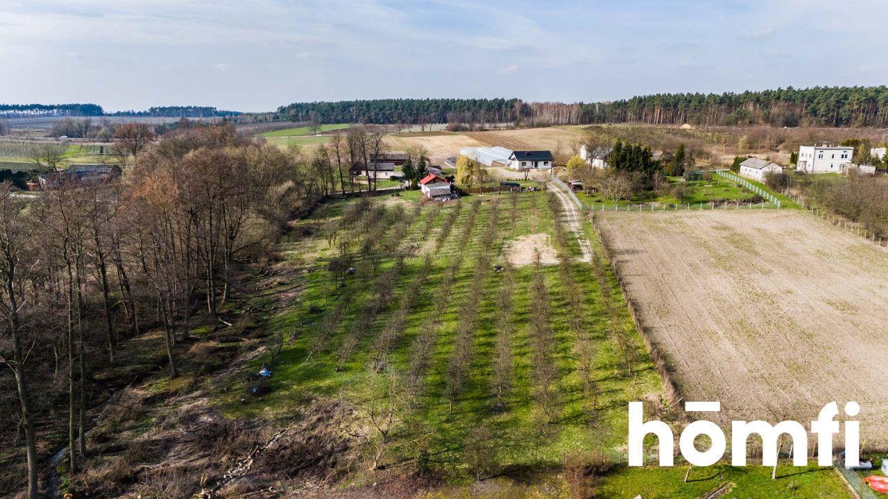 An idyllic plot near Białobrzegi - Plot - Sale - Białobrzeski, Promna / Biejków
