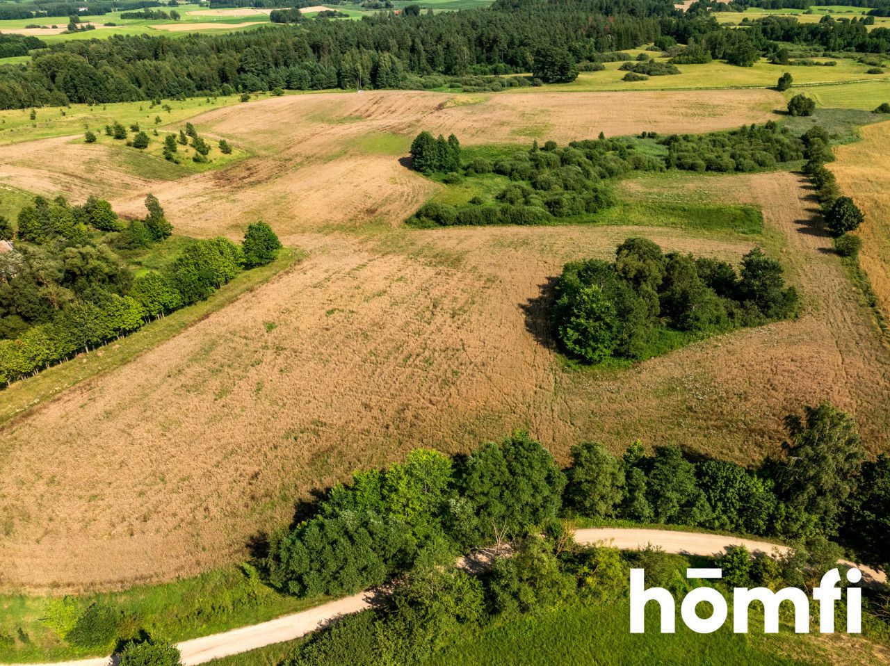 FOR SALE! PLOT 10 hectares /Warmia-Masuria/Olecki/Świętajno/Rogojny - Ділянка - Продаж - Olecki, Świętajno / Rogojny