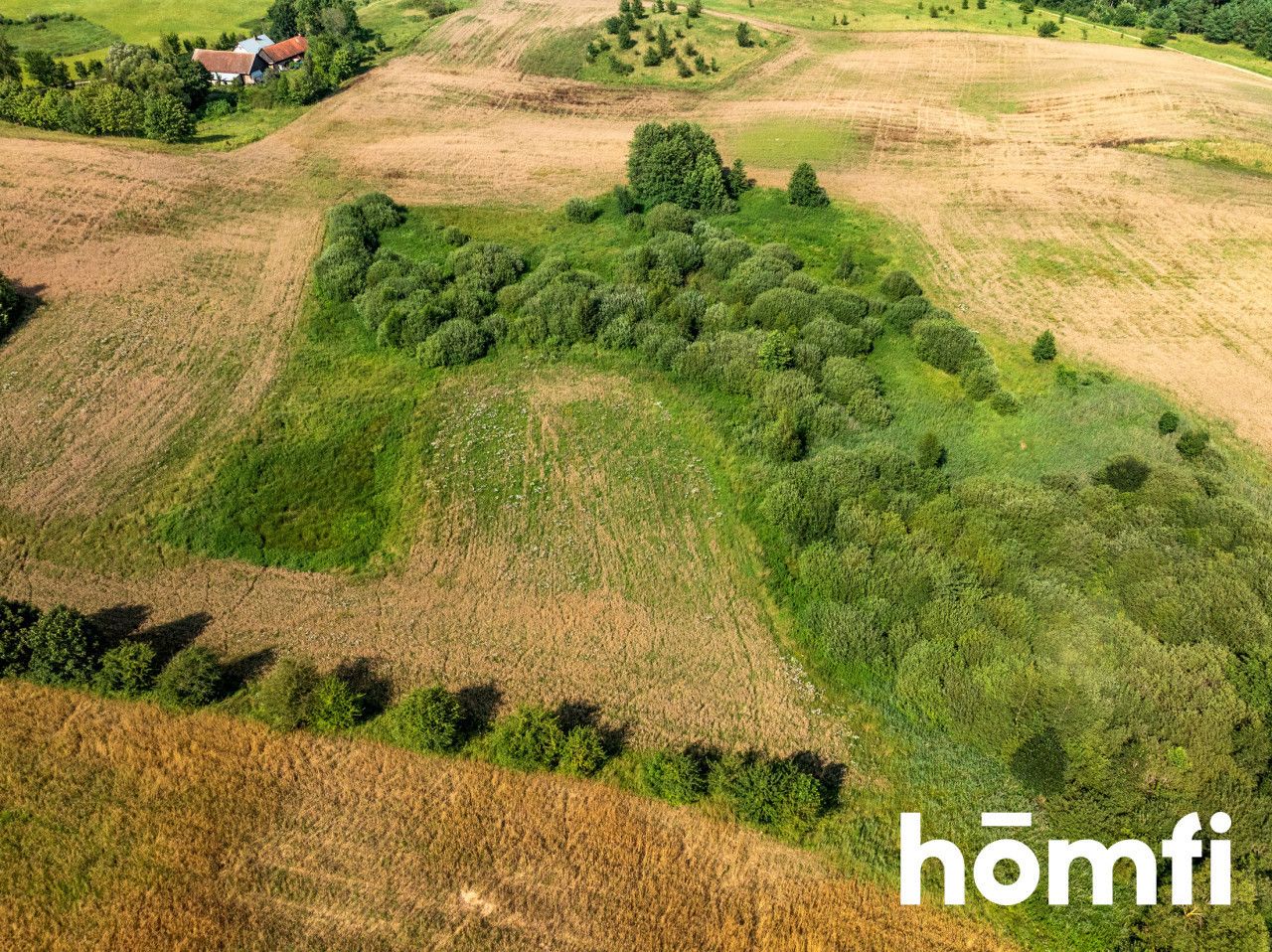 FOR SALE! PLOT 10 hectares /Warmia-Masuria/Olecki/Świętajno/Rogojny - Ділянка - Продаж - Olecki, Świętajno / Rogojny