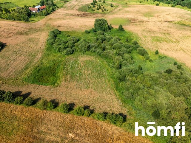 FOR SALE! PLOT 10 hectares /Warmia-Masuria/Olecki/Świętajno/Rogojny - Ділянка - Продаж - Olecki, Świętajno / Rogojny