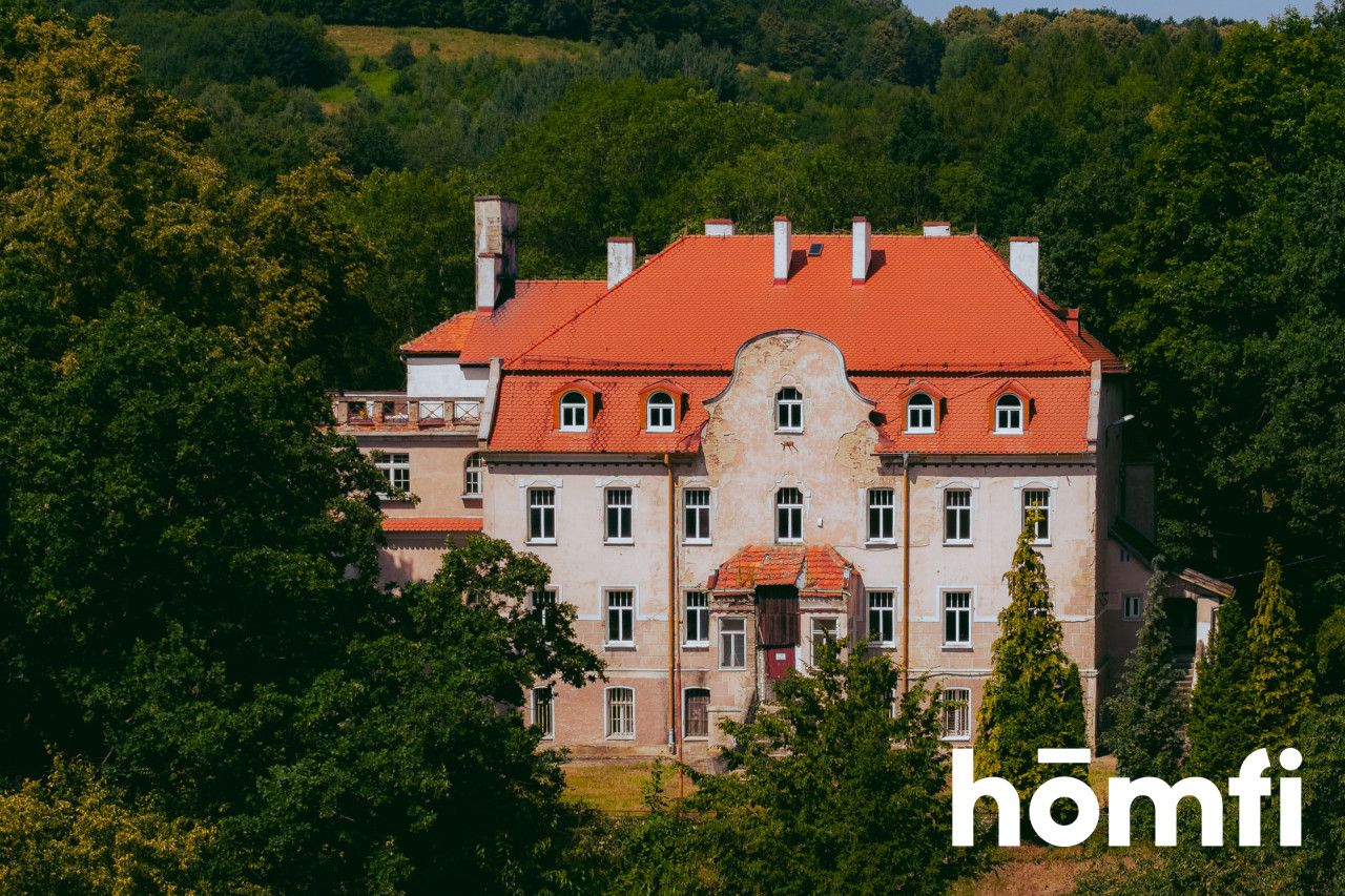 Pałac z aktualnym Pozwoleniem na Budowę / Inwestycja / Dom Opieki / Hotel SPA - Lokal użytkowy - Sprzedaż - Świdnicki, Świdnica / Bystrzyca Górna