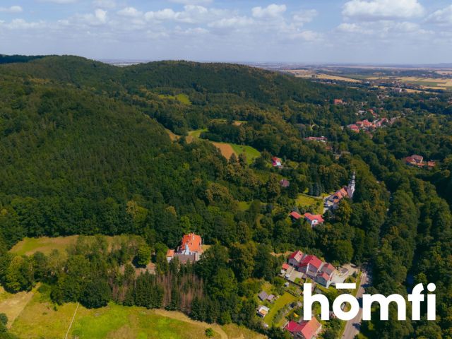 Pałac z aktualnym Pozwoleniem na Budowę / Inwestycja / Dom Opieki / Hotel SPA - Lokal użytkowy - Sprzedaż - Świdnicki, Świdnica / Bystrzyca Górna