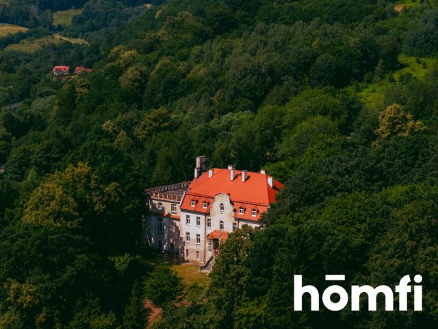 Pałac z aktualnym Pozwoleniem na Budowę / Inwestycja / Dom Opieki / Hotel SPA - Lokal użytkowy - Sprzedaż - Świdnicki, Świdnica / Bystrzyca Górna