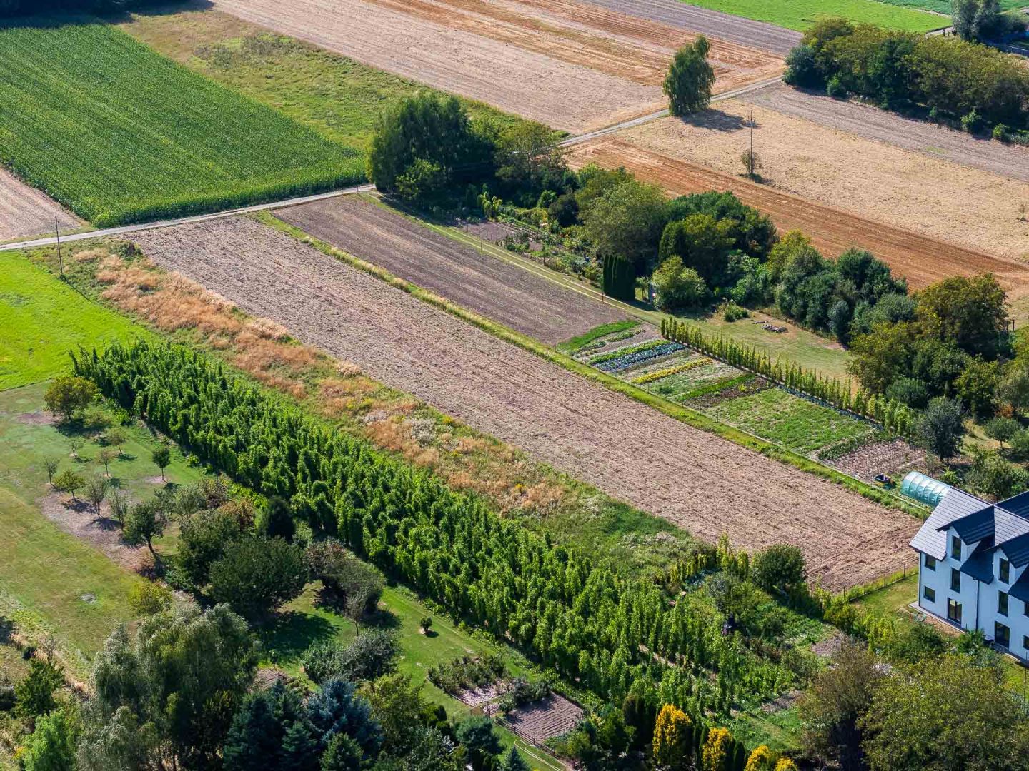 A 3,817 m² agricultural and construction plot located in Zielonki, near the exit towards Trojanowice - Plot - Sale - Krakowski, Zielonki