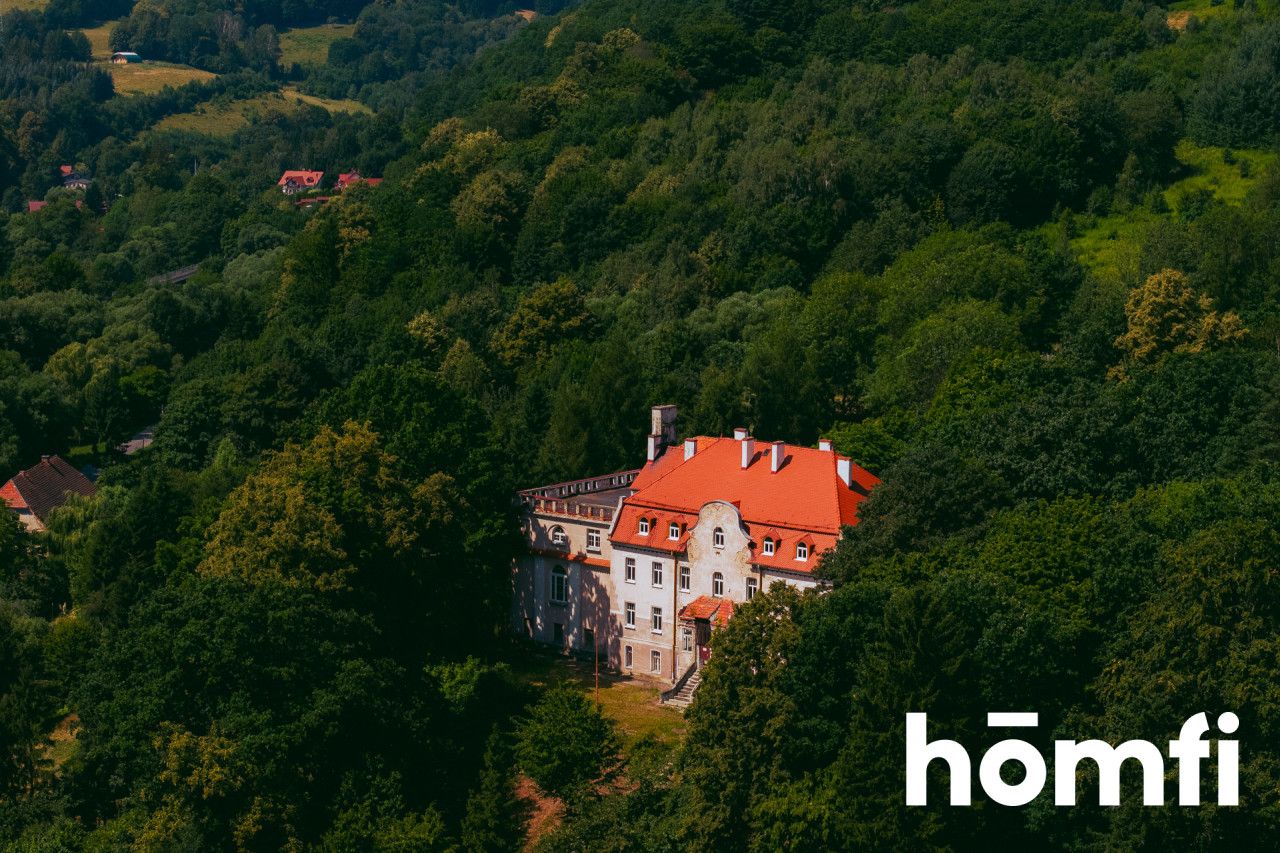 Pałac z aktualnym Pozwoleniem na Budowę / Inwestycja / Dom Opieki / Hotel SPA - Lokal użytkowy - Sprzedaż - Świdnicki, Świdnica / Bystrzyca Górna
