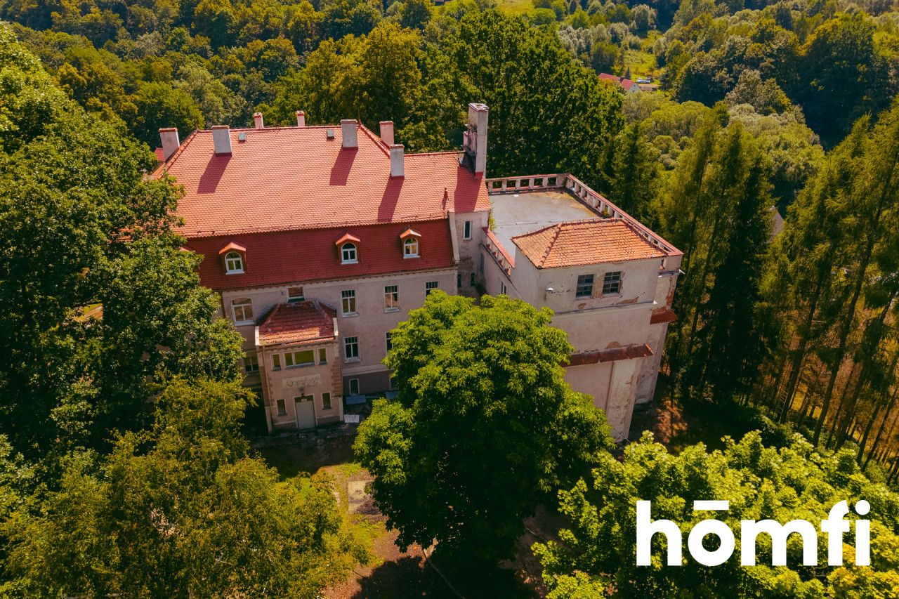 Pałac z aktualnym Pozwoleniem na Budowę / Inwestycja / Dom Opieki / Hotel SPA - Lokal użytkowy - Sprzedaż - Świdnicki, Świdnica / Bystrzyca Górna