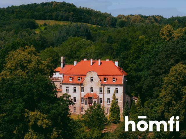 Pałac z aktualnym Pozwoleniem na Budowę / Inwestycja / Dom Opieki / Hotel SPA - Lokal użytkowy - Sprzedaż - Świdnicki, Świdnica / Bystrzyca Górna