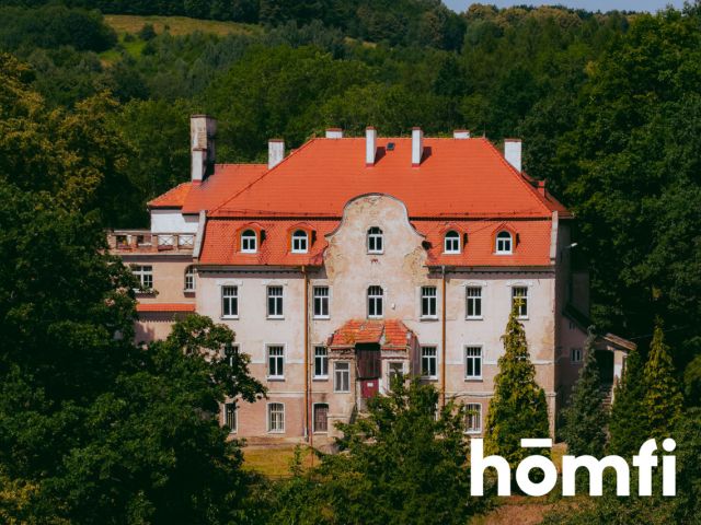 Pałac z aktualnym Pozwoleniem na Budowę / Inwestycja / Dom Opieki / Hotel SPA - Lokal użytkowy - Sprzedaż - Świdnicki, Świdnica / Bystrzyca Górna