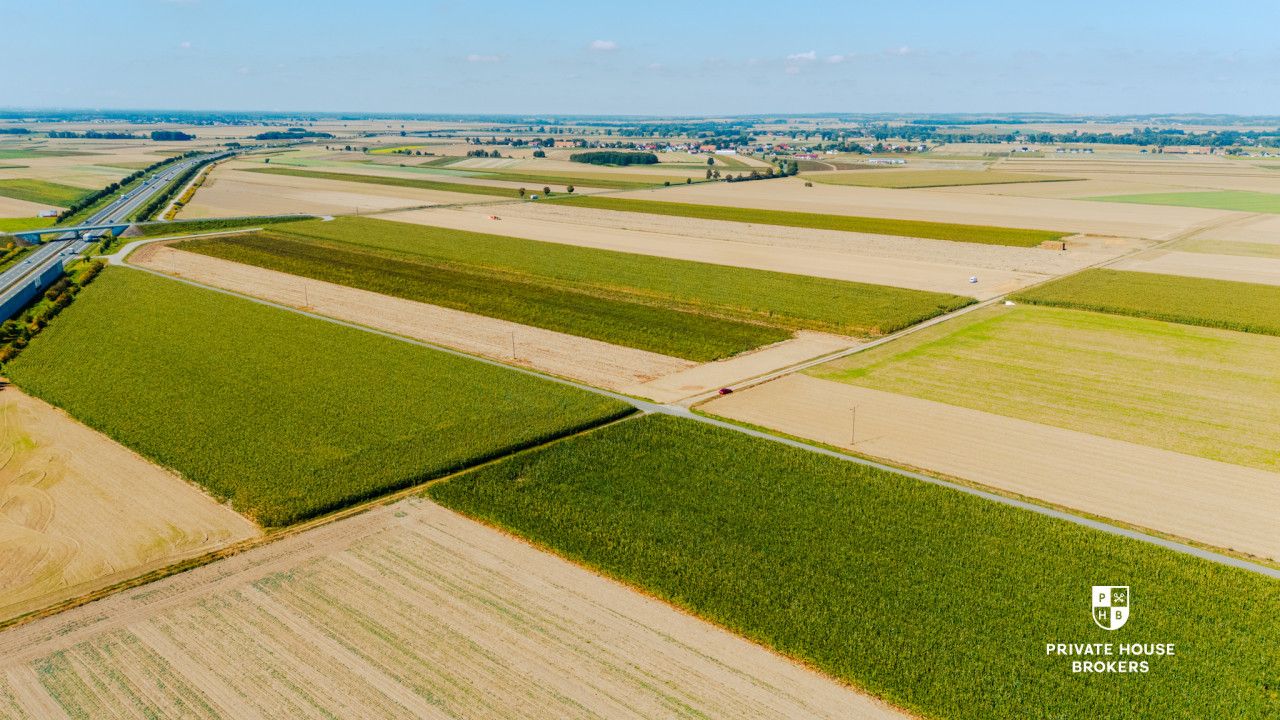 Dąbrowa obok Oleśnicy - budowlane 71 ar z MPZP - Lot - Sale - Oleśnicki, Oleśnica