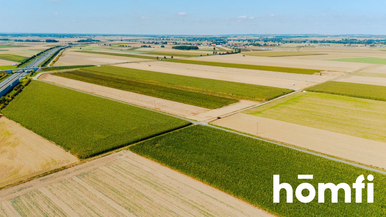 Działka budowlana 71 ar - Dąbrowa pod Oleśnicą - Działka - Sprzedaż - Oleśnicki, Oleśnica
