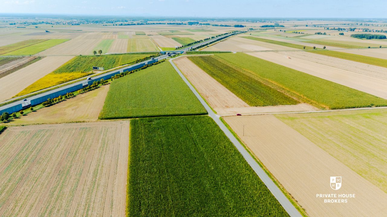 Dąbrowa obok Oleśnicy - budowlane 71 ar z MPZP - Lot - Sale - Oleśnicki, Oleśnica