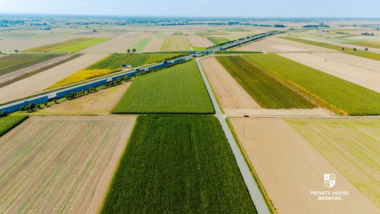 Dąbrowa obok Oleśnicy - budowlane 71 ar z MPZP - Lot - Sale - Oleśnicki, Oleśnica