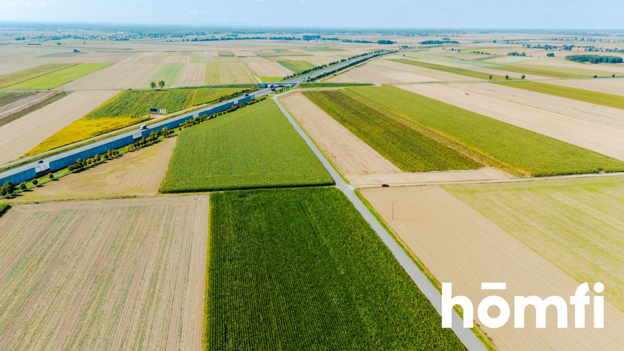 Działka budowlana 71 ar - Dąbrowa pod Oleśnicą - Działka - Sprzedaż - Oleśnicki, Oleśnica