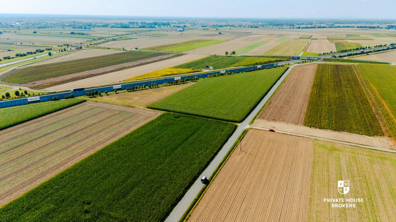 Dąbrowa obok Oleśnicy - budowlane 71 ar z MPZP - Lot - Sale - Oleśnicki, Oleśnica