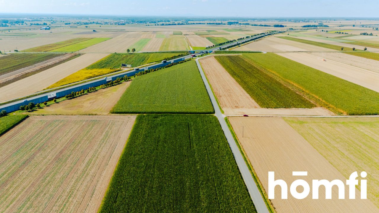 Działka budowlana 71 ar - Dąbrowa pod Oleśnicą - Działka - Sprzedaż - Oleśnicki, Oleśnica