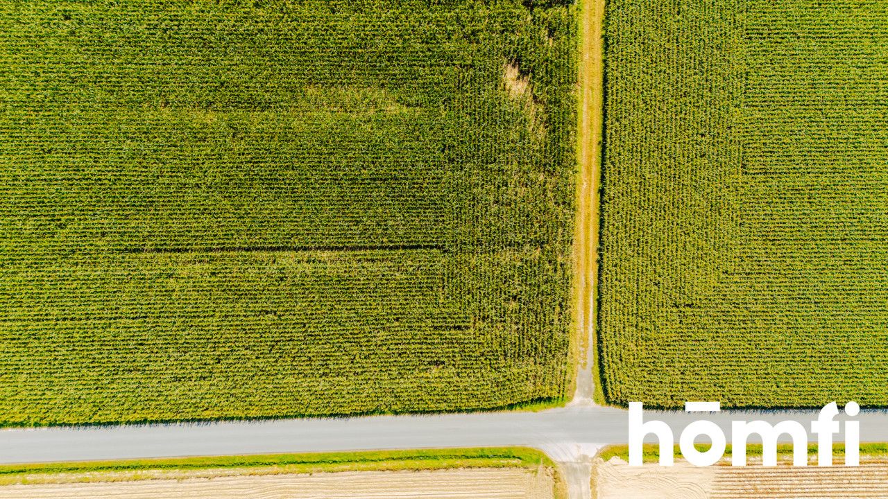 Działka budowlana 71 ar - Dąbrowa pod Oleśnicą - Działka - Sprzedaż - Oleśnicki, Oleśnica