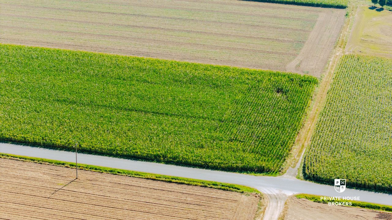 Dąbrowa obok Oleśnicy - budowlane 71 ar z MPZP - Lot - Sale - Oleśnicki, Oleśnica