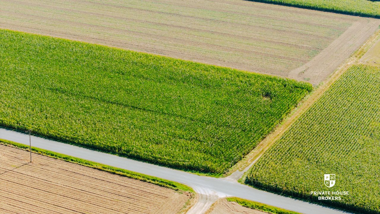 Dąbrowa obok Oleśnicy - budowlane 71 ar z MPZP - Lot - Sale - Oleśnicki, Oleśnica