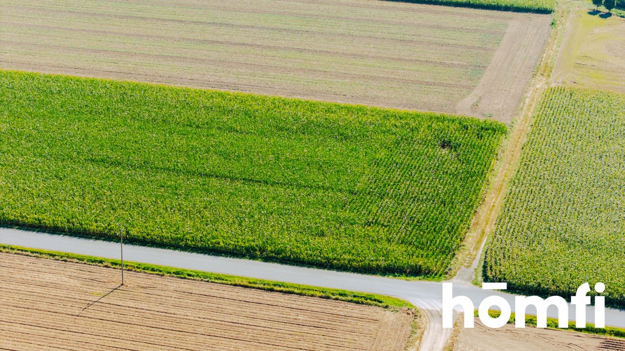 Działka budowlana 71 ar - Dąbrowa pod Oleśnicą - Działka - Sprzedaż - Oleśnicki, Oleśnica