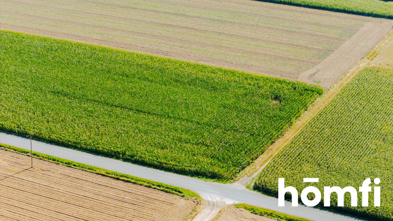 Działka budowlana 71 ar - Dąbrowa pod Oleśnicą - Działka - Sprzedaż - Oleśnicki, Oleśnica