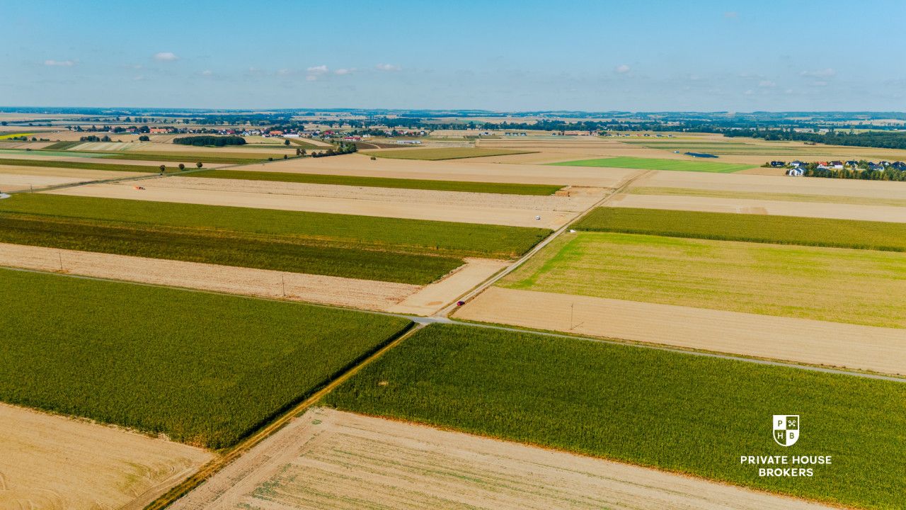 Dąbrowa obok Oleśnicy - budowlane 71 ar z MPZP - Lot - Sale - Oleśnicki, Oleśnica