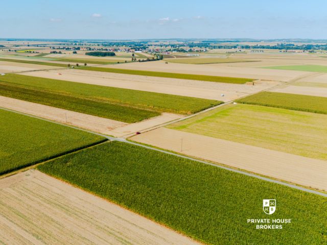 Dąbrowa obok Oleśnicy - budowlane 71 ar z MPZP - Lot - Sale - Oleśnicki, Oleśnica