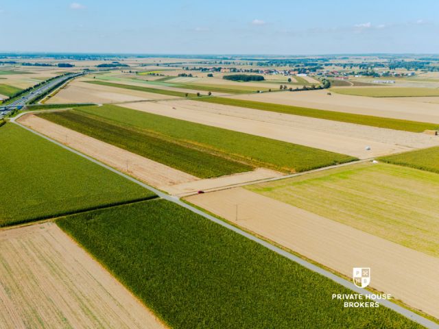 Dąbrowa obok Oleśnicy - budowlane 71 ar z MPZP - Lot - Sale - Oleśnicki, Oleśnica