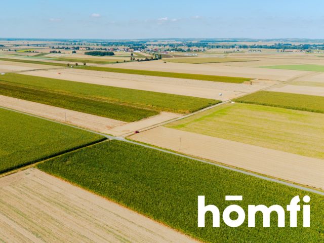 Działka budowlana 71 ar - Dąbrowa pod Oleśnicą - Działka - Sprzedaż - Oleśnicki, Oleśnica