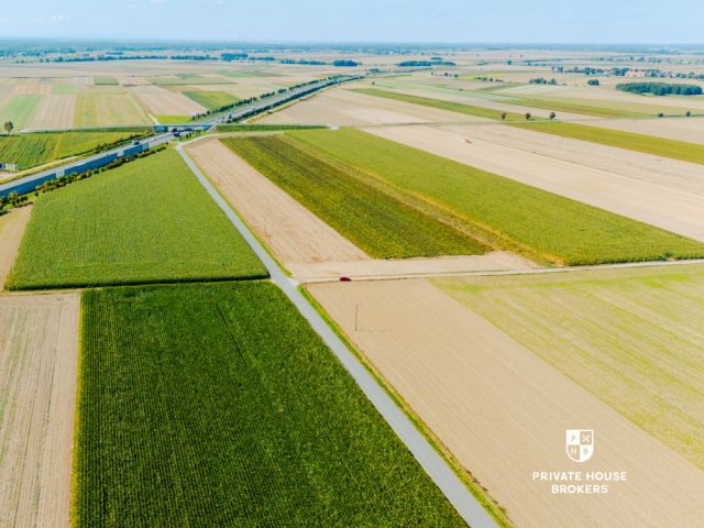 Dąbrowa obok Oleśnicy - budowlane 71 ar z MPZP - Lot - Sale - Oleśnicki, Oleśnica