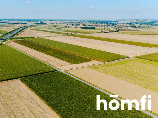 Działka budowlana 71 ar - Dąbrowa pod Oleśnicą - Działka - Sprzedaż - Oleśnicki, Oleśnica