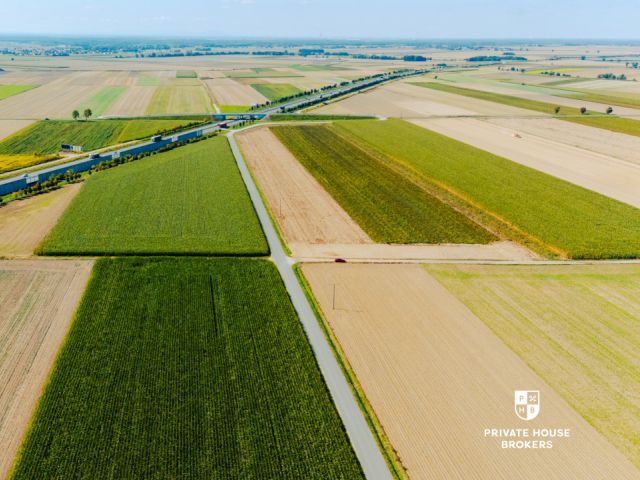 Dąbrowa obok Oleśnicy - budowlane 71 ar z MPZP - Lot - Sale - Oleśnicki, Oleśnica