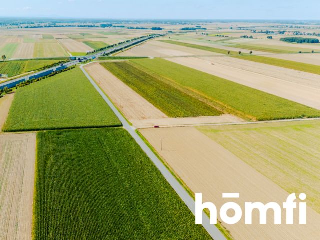 Działka budowlana 71 ar - Dąbrowa pod Oleśnicą - Działka - Sprzedaż - Oleśnicki, Oleśnica