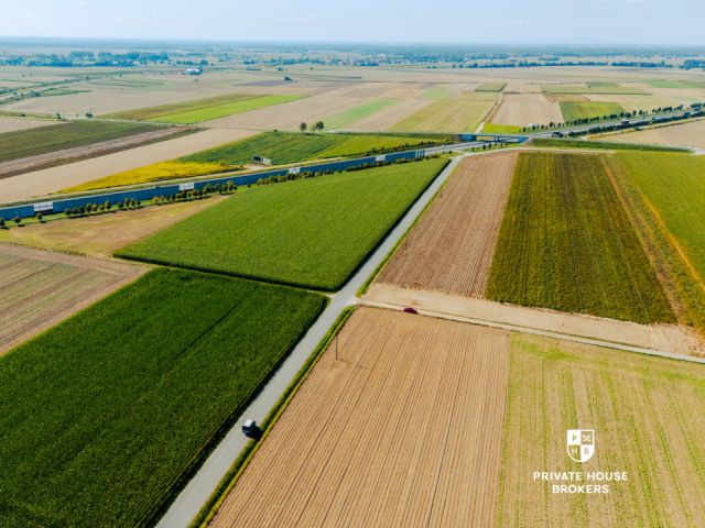 Dąbrowa obok Oleśnicy - budowlane 71 ar z MPZP - Lot - Sale - Oleśnicki, Oleśnica