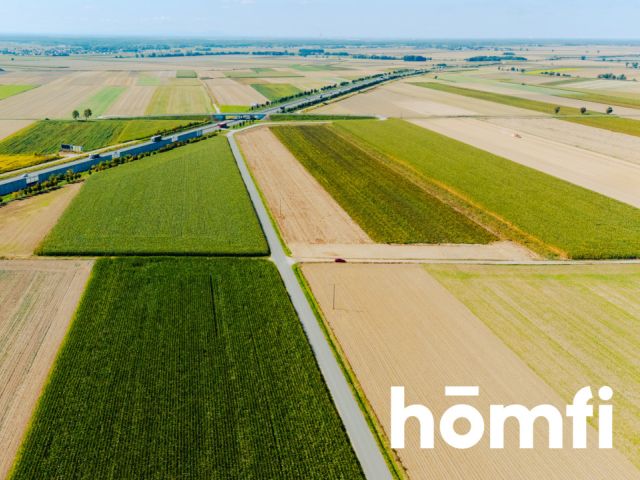 Działka budowlana 71 ar - Dąbrowa pod Oleśnicą - Działka - Sprzedaż - Oleśnicki, Oleśnica