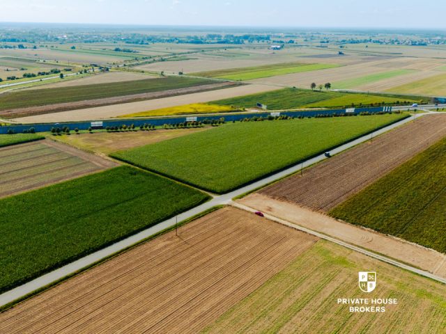 Dąbrowa obok Oleśnicy - budowlane 71 ar z MPZP - Lot - Sale - Oleśnicki, Oleśnica