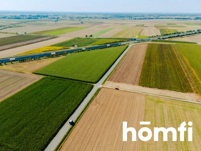 Działka budowlana 71 ar - Dąbrowa pod Oleśnicą - Działka - Sprzedaż - Oleśnicki, Oleśnica