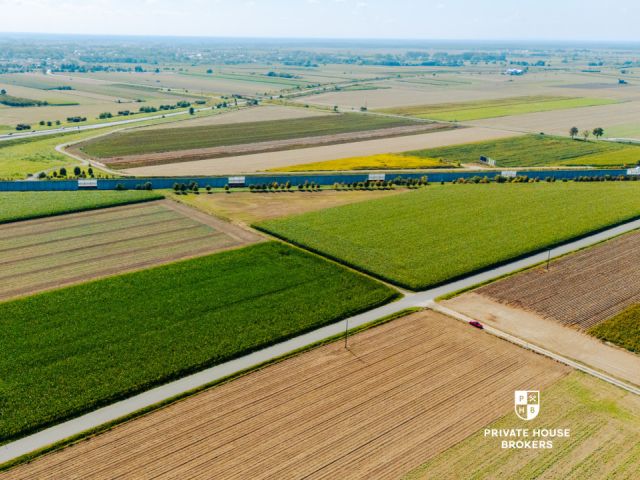 Dąbrowa obok Oleśnicy - budowlane 71 ar z MPZP - Lot - Sale - Oleśnicki, Oleśnica