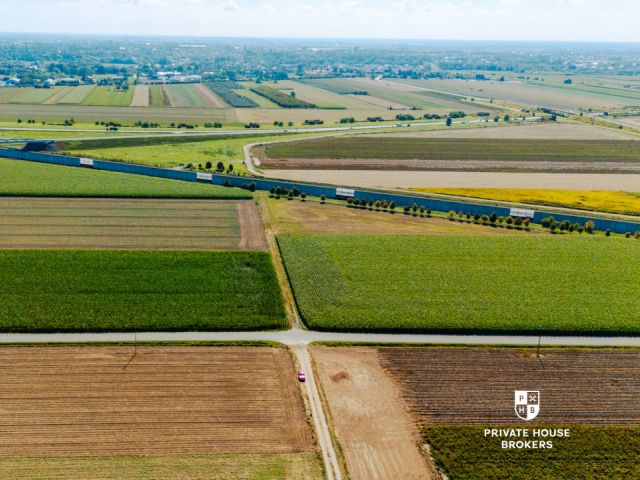 Dąbrowa obok Oleśnicy - budowlane 71 ar z MPZP - Lot - Sale - Oleśnicki, Oleśnica