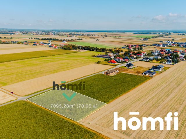 Działka budowlana 71 ar - Dąbrowa pod Oleśnicą - Działka - Sprzedaż - Oleśnicki, Oleśnica