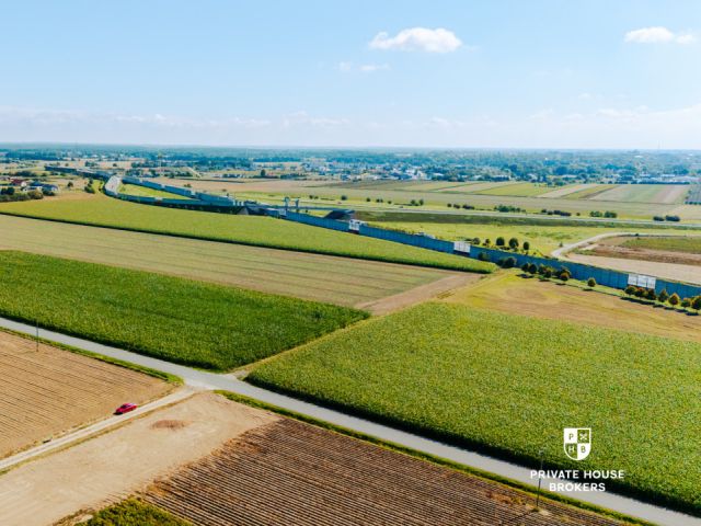 Dąbrowa obok Oleśnicy - budowlane 71 ar z MPZP - Lot - Sale - Oleśnicki, Oleśnica