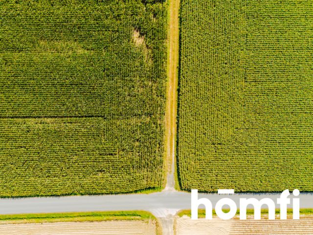 Działka budowlana 71 ar - Dąbrowa pod Oleśnicą - Działka - Sprzedaż - Oleśnicki, Oleśnica