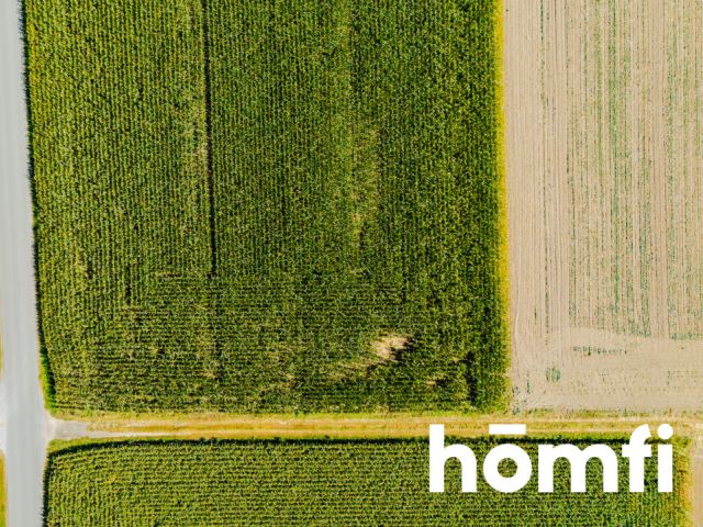 Działka budowlana 71 ar - Dąbrowa pod Oleśnicą - Działka - Sprzedaż - Oleśnicki, Oleśnica