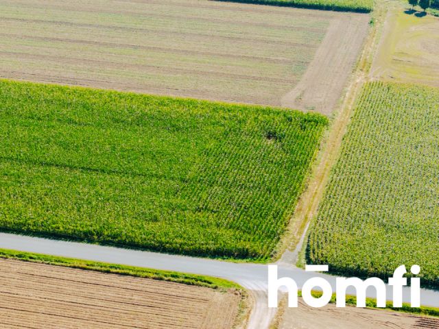 Działka budowlana 71 ar - Dąbrowa pod Oleśnicą - Działka - Sprzedaż - Oleśnicki, Oleśnica