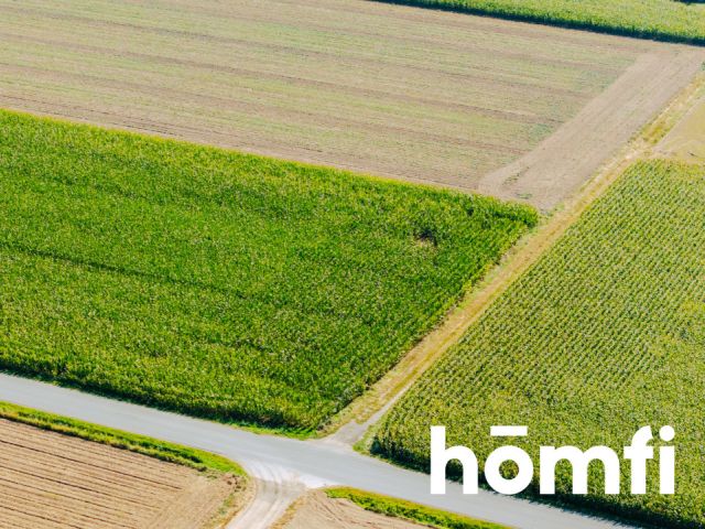 Działka budowlana 71 ar - Dąbrowa pod Oleśnicą - Działka - Sprzedaż - Oleśnicki, Oleśnica