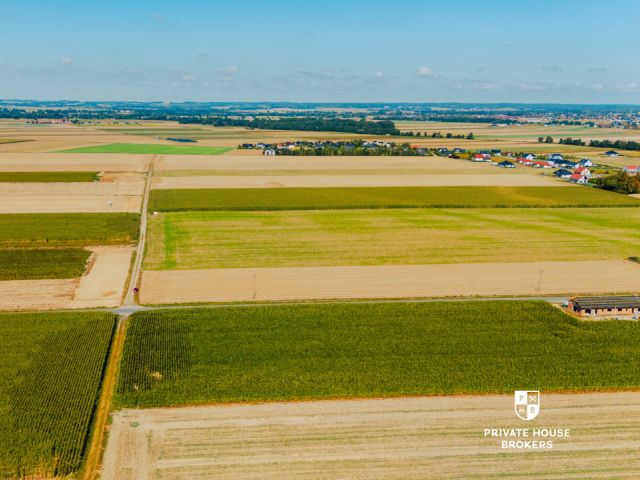 Dąbrowa obok Oleśnicy - budowlane 71 ar z MPZP - Lot - Sale - Oleśnicki, Oleśnica